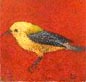 Warbler painting