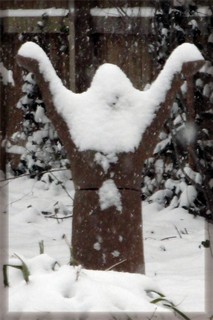 10_jan_worship_not_cancelled_front_page.jpg