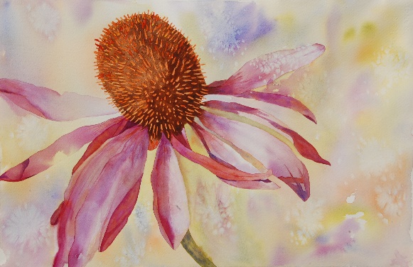 16 Nov Gallery Smiles